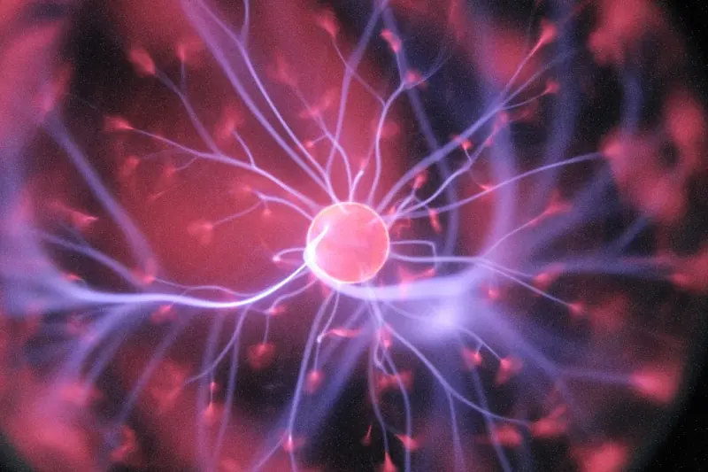 Neuroeducación — cómo aprende el cerebro