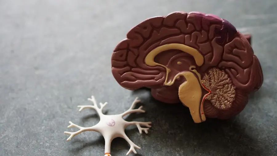 Neurociencia y creatividad — cómo el arte activa el cerebro